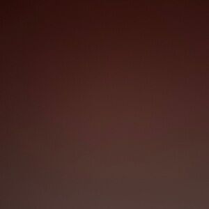 Meet your Posher, Will